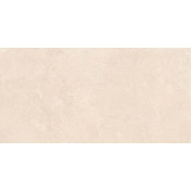60x120_r_pt_naturalis_beige_r9_r10_f1_2003_2007