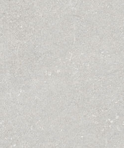 Stonehenge Grey 600х1200 R matt 1