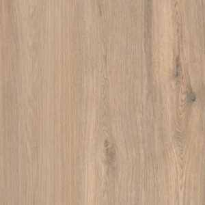 Chateau Brown 600х1200 R matt 1