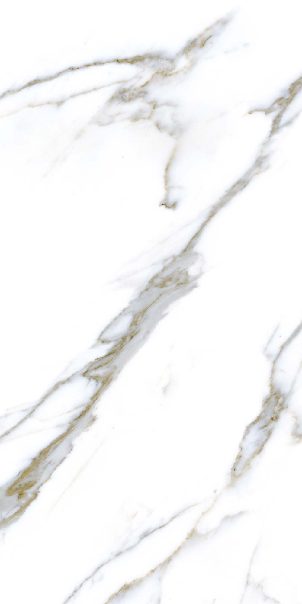 Quarry White 600х1200 R Satin 1