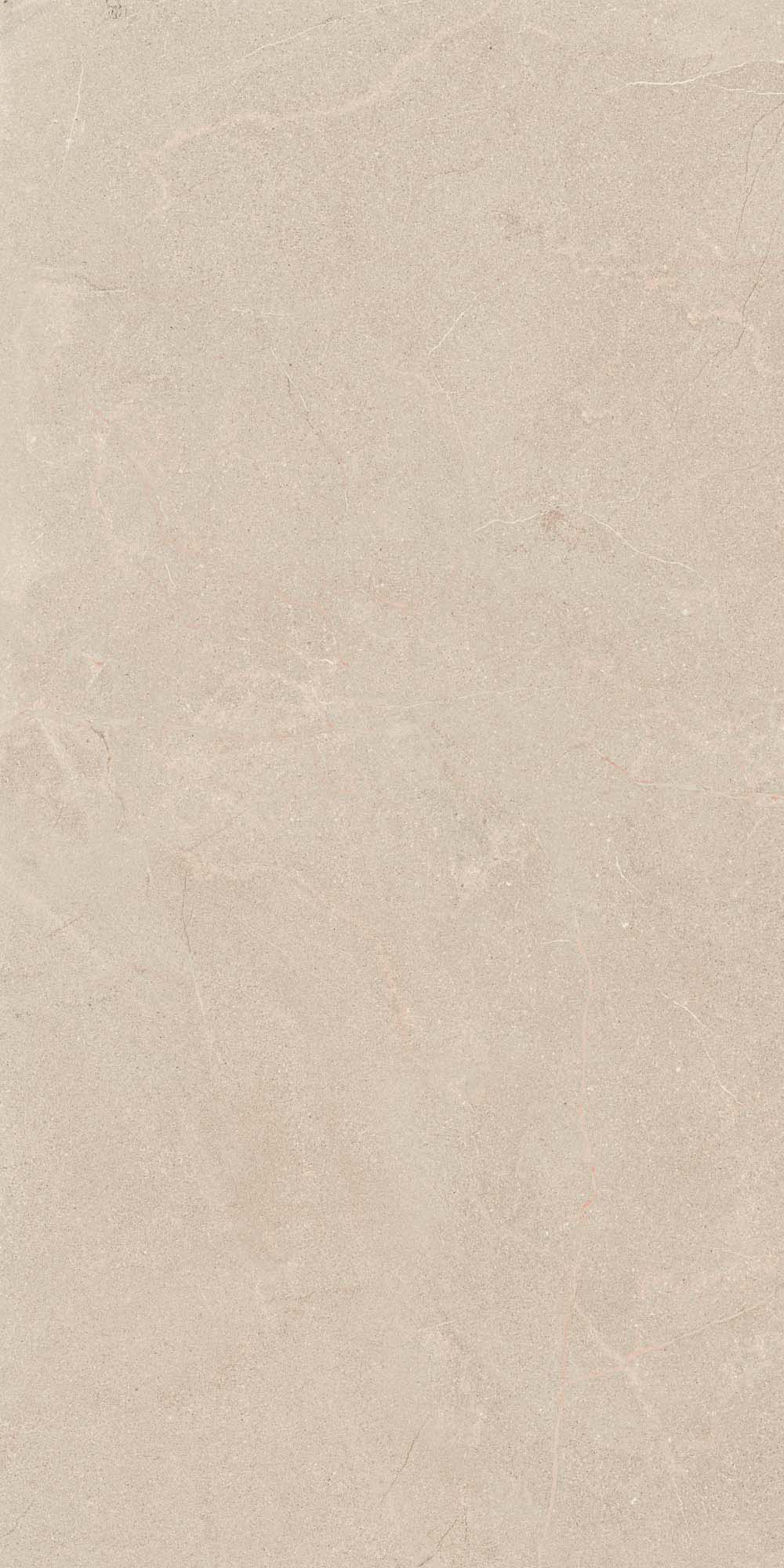 Stoneline Natural 600х1200 R matt 1