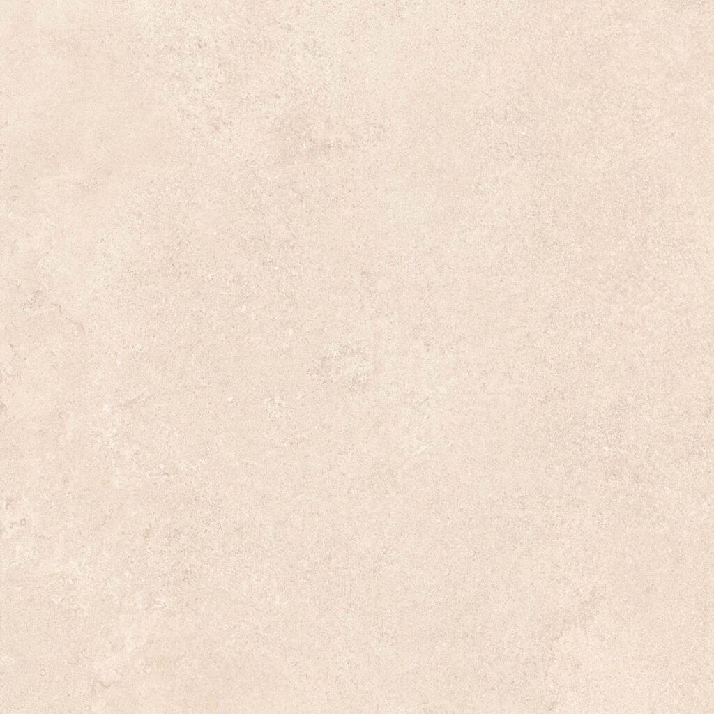 Naturalis greige 800x800 R matt 1