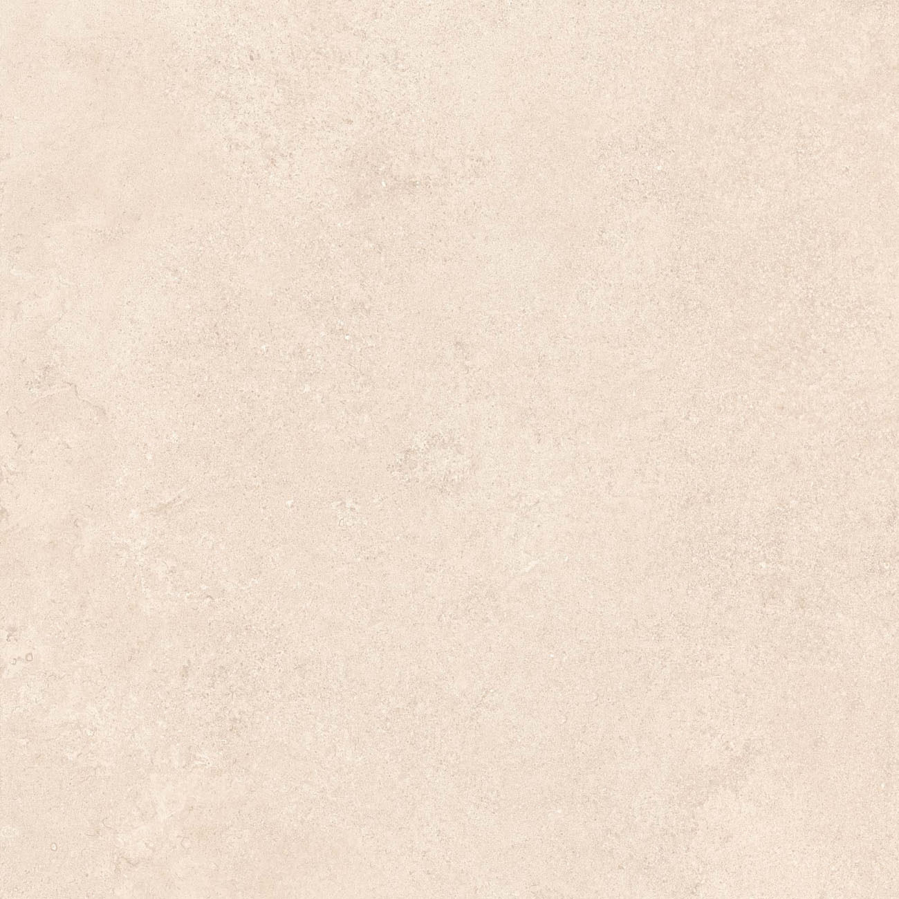 Naturalis greige 800x800 R matt 1